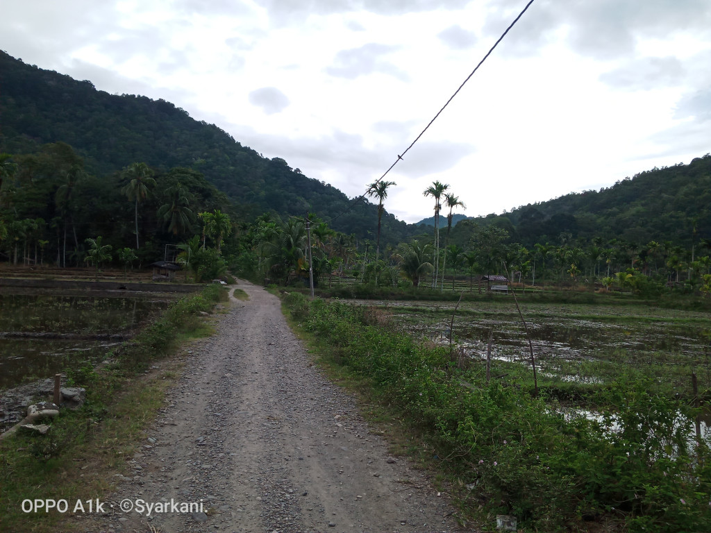 wilayah perkebunan dan persawahan masyarakat Desa Keumumu Hulu